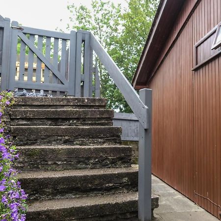 Riverside Chalet In Heart Of Lampeter, West Wales Villa Екстериор снимка