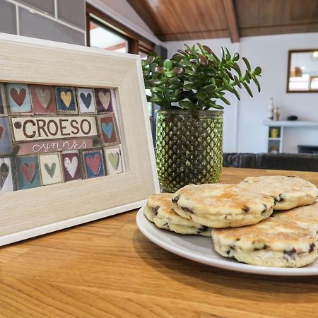 Riverside Chalet In Heart Of Lampeter, West Wales Villa Екстериор снимка