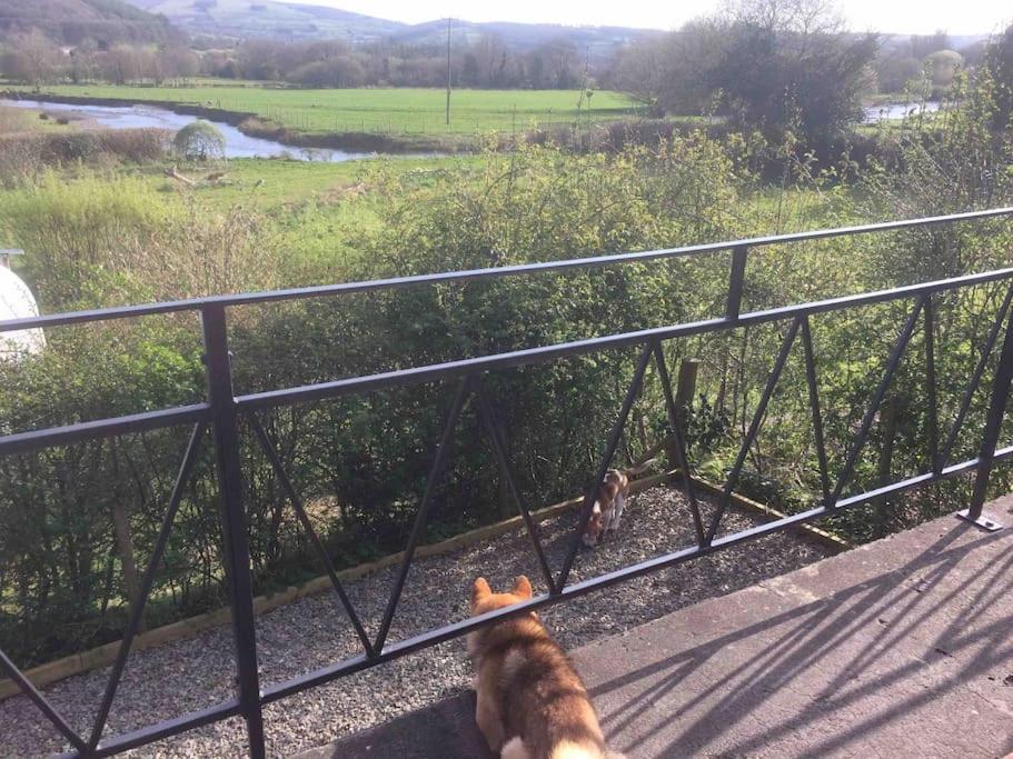 Riverside Chalet In Heart Of Lampeter, West Wales Villa Екстериор снимка