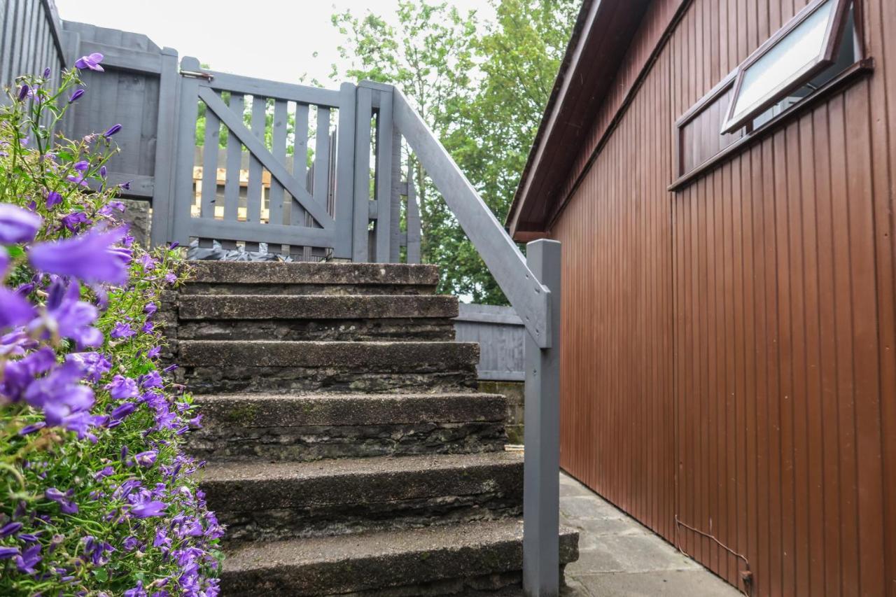 Riverside Chalet In Heart Of Lampeter, West Wales Villa Екстериор снимка